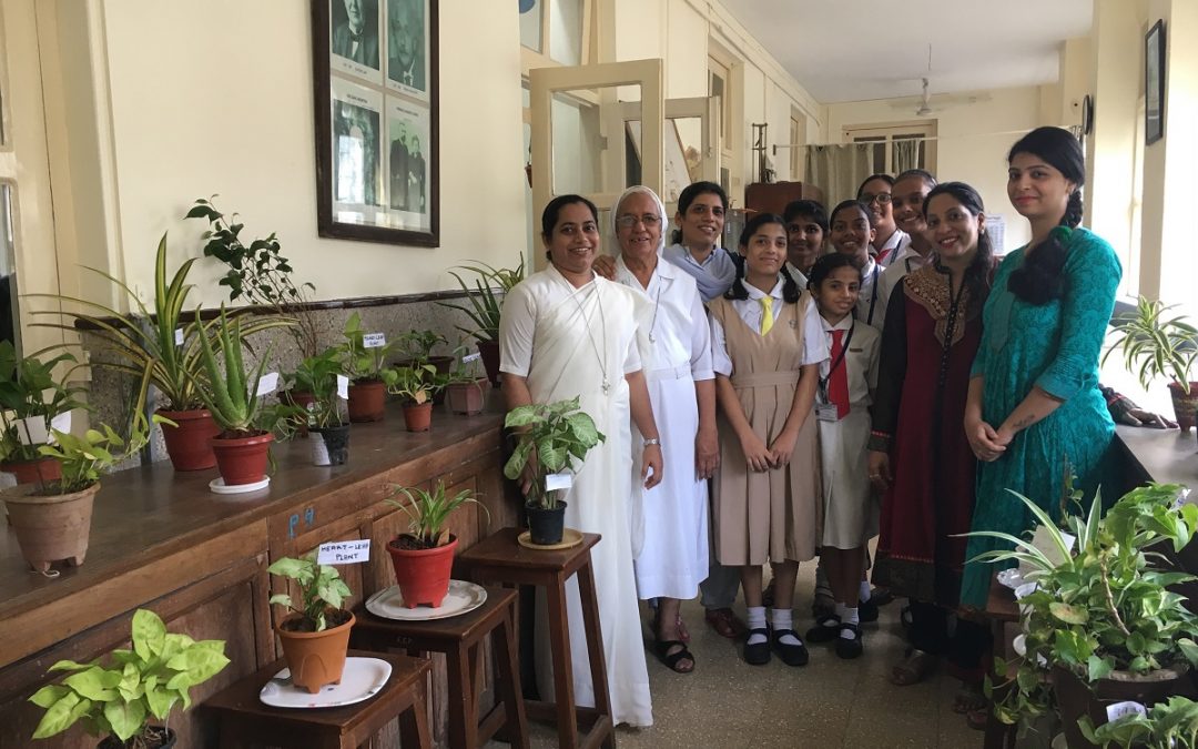 Plant Exhibition