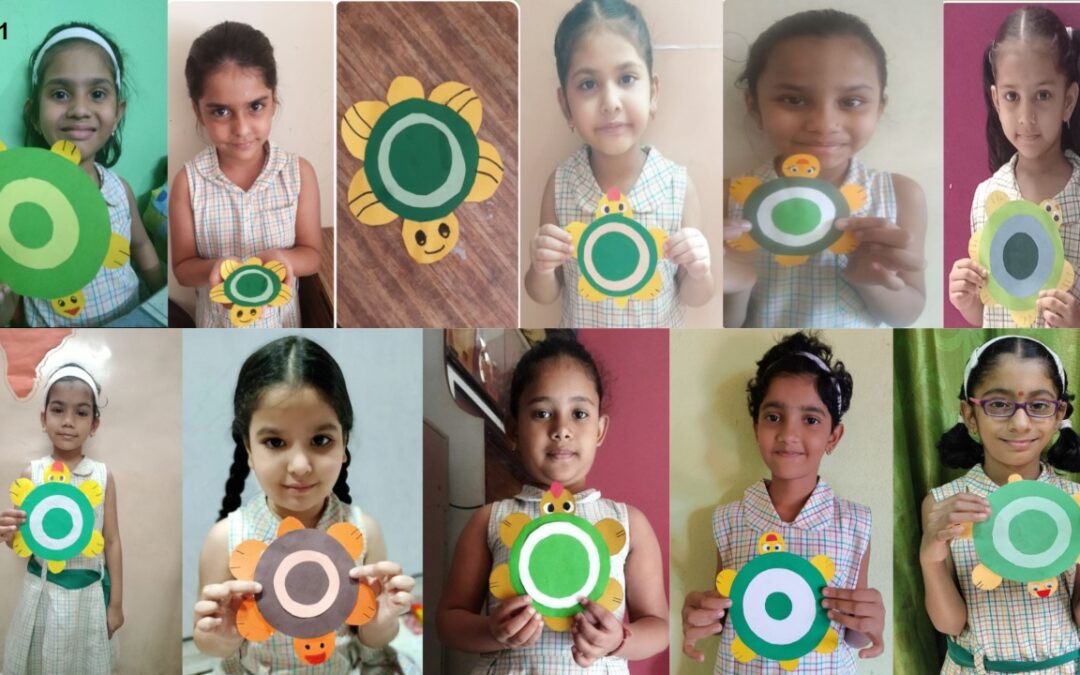 Paper Turtle making activity (Std. I)