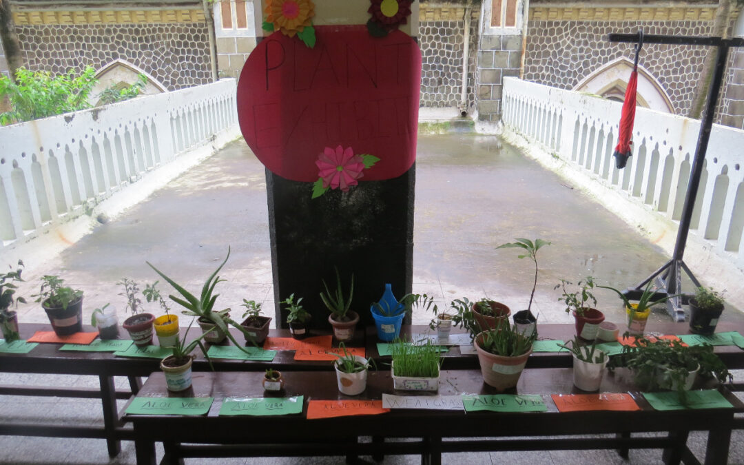 Exhibition of medicinal plants / Open Day