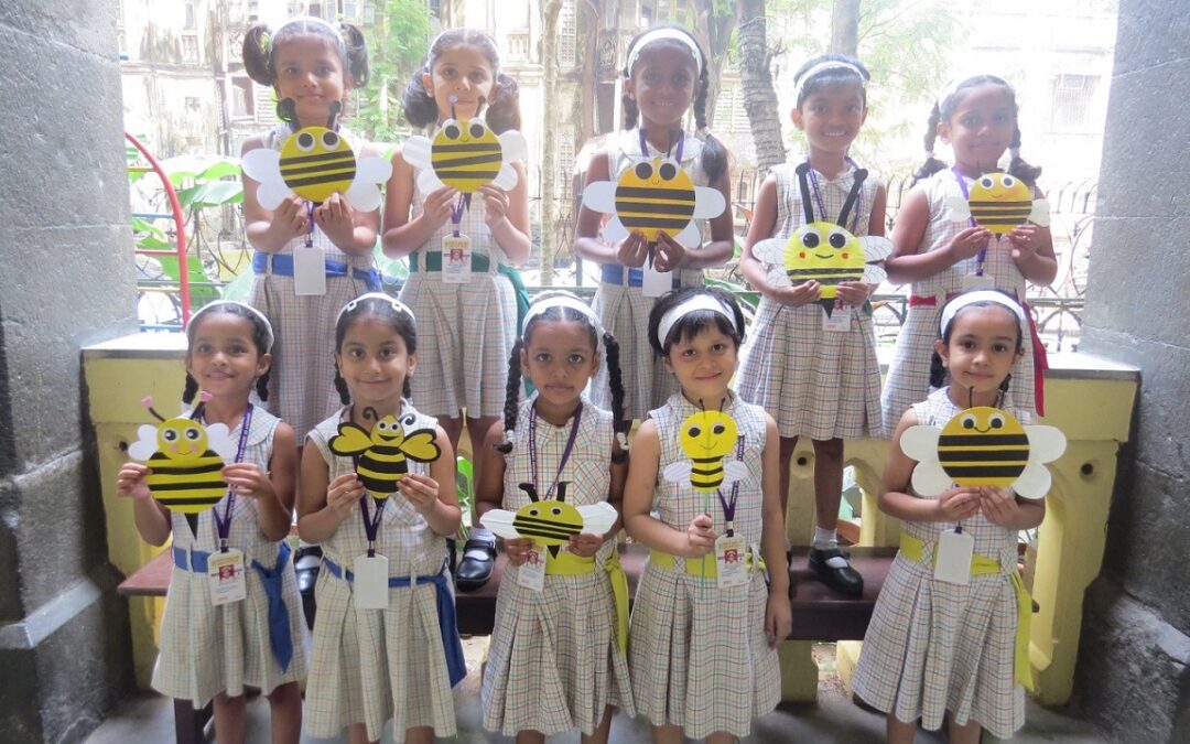 Class Activities (Pre-Primary and Primary)