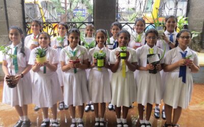 Van Mahotsav week